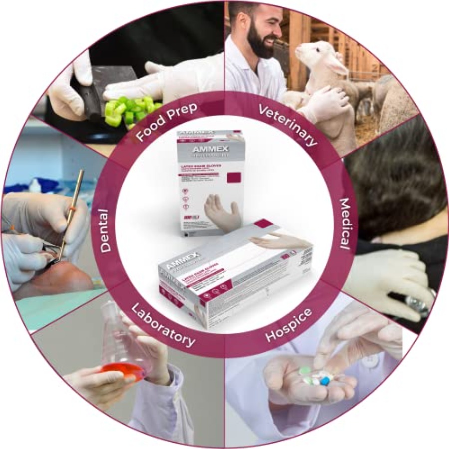 AMMEX White Latex Disposable E - огляд і ціна Latex Disposable Glove